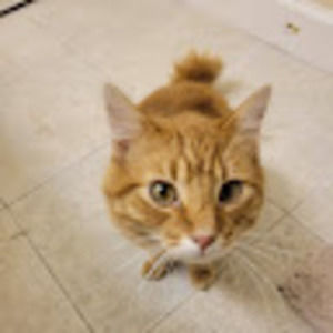 Meet your Posher, Margarito